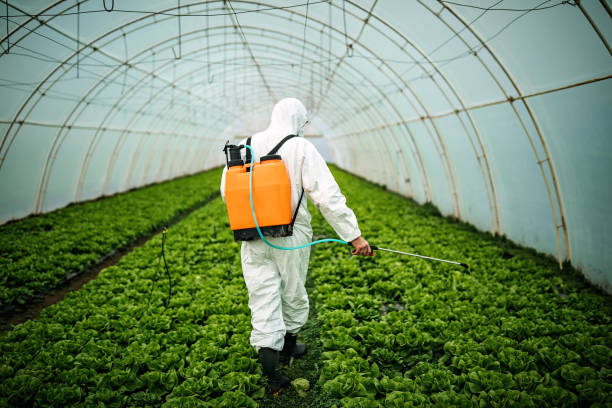 Pest Control Cost in Mount Vernon, TX