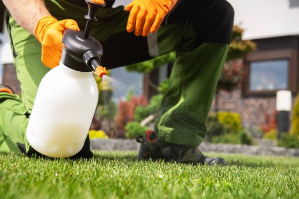 Best Pest Inspection Near Me  in Mount Vernon, TX