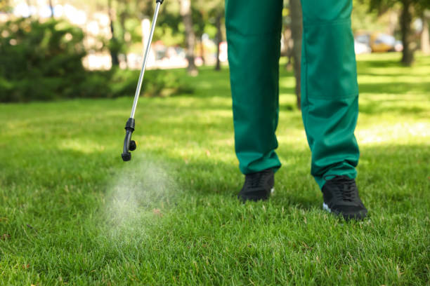 Best Affordable Pest Control Services  in Mount Vernon, TX