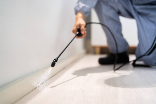 Best Best Pest Control Companies  in Mount Vernon, TX